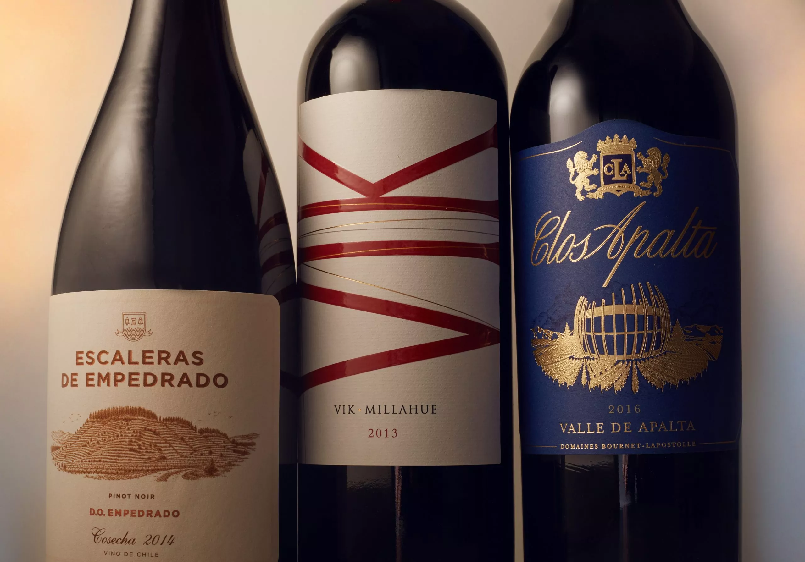 Top 15 Melhores Vinhos Chilenos Carménère, e mais GoPickup 2024