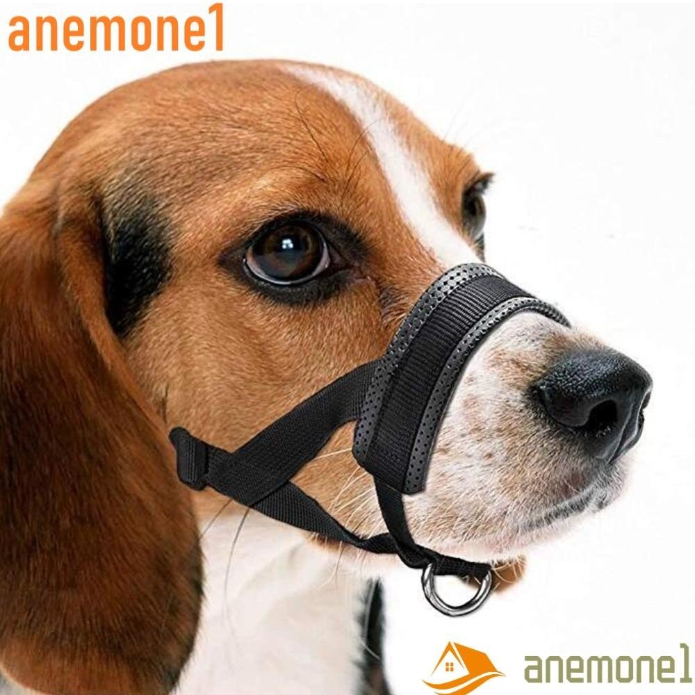 Focinheira: Os 10 melhores produtos