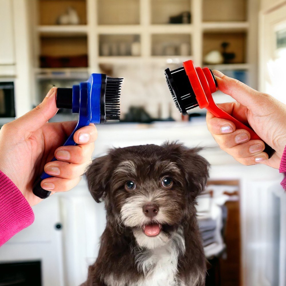 Rasqueadeira: Os 10 melhores produtos